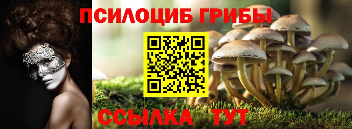 Зима  Псилоцибиновые грибы мухоморы  Вход с VPN  Галлюциногенные грибы мицелий 